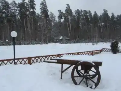 Галдым - 10