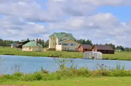 Королевская охота - 8