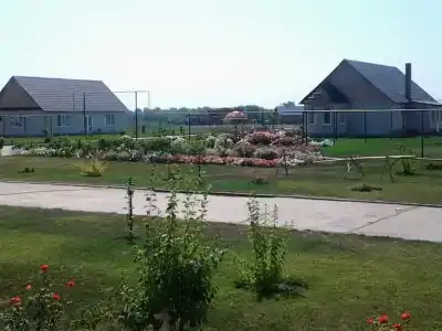 Каштан - 3