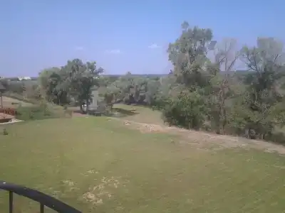 Каштан - 4