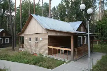 Иволга - 1