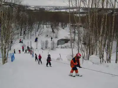 Эдельвейс - 7