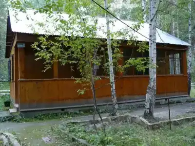 Чайка - 6