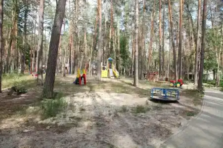 Иволга - 7