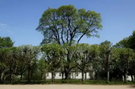 С. Михайловского - 6