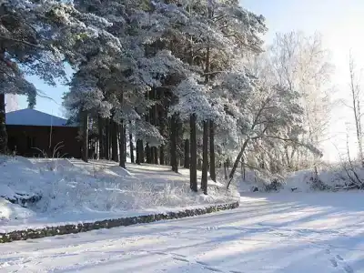 Мышкино Подворье - 11