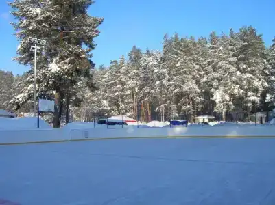 Лебяжье - 17