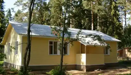 Лесная дача - 1