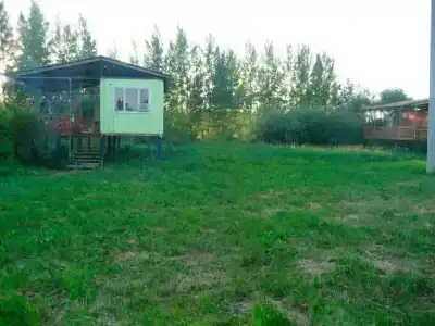 Жемчуг - 8