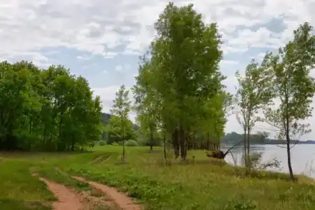 Вятский Берег - 12