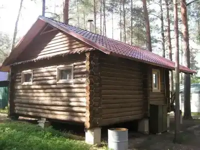 Аист - 6