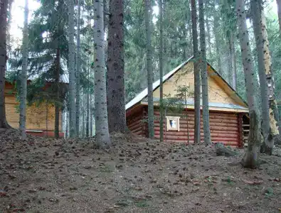 Рябинушка - 11