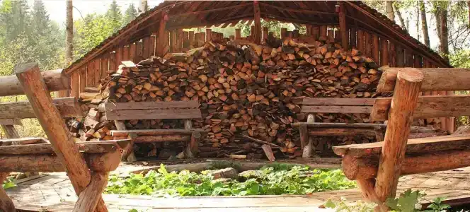 Березовка - 5