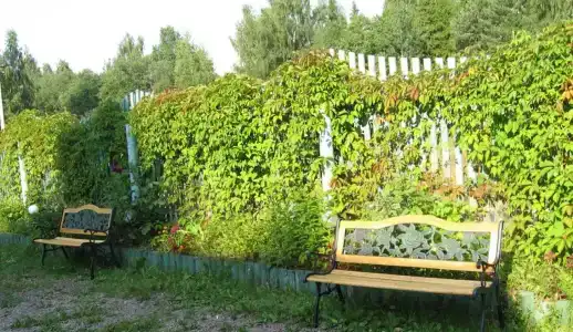 Ухра - 7