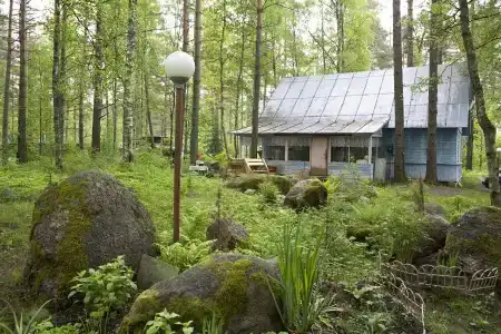 Холодный ручей - 11