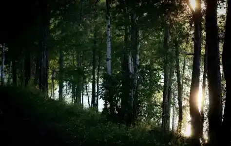 Преображенская - 11