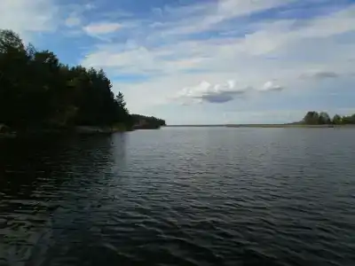 Холодный ручей - 25