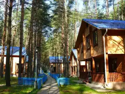 Чайка - 2