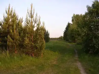 Дом рыбака Большая Медведица - 9