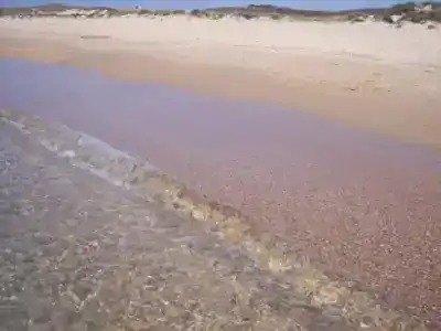 Русалочка - 2