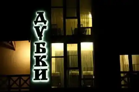 Дубки - 9