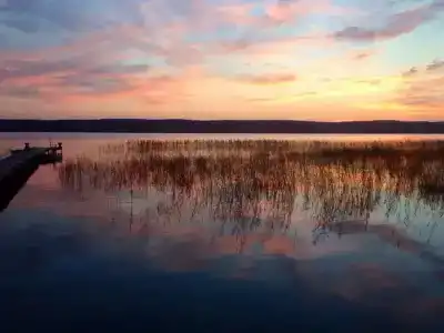 Зайкина дача - 10