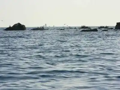 Киммерик - 14