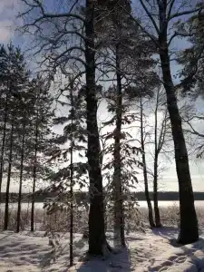 Озеро Великое - 17