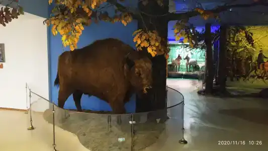 Каменюки - 70