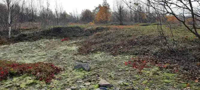 Зимнее море - 2