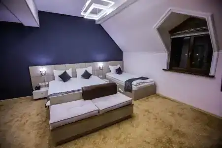 Art Regency Premium Free Airport Service - 37