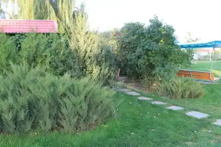 Раздолье - 46