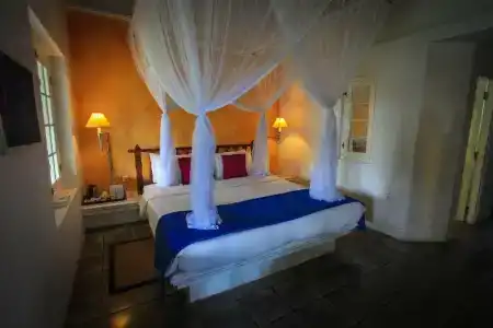 Club Villa - 60