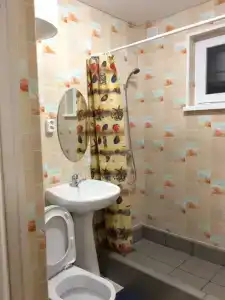 Сосновый бор - 10