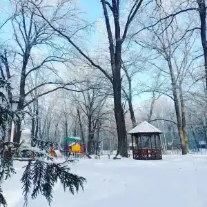 Купринка - 40