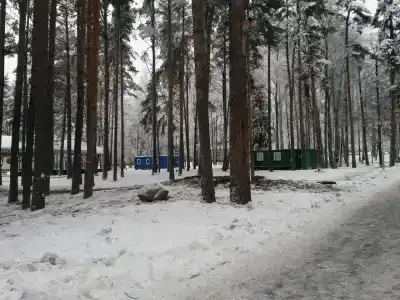 Буревестник - 42