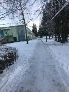 Зелёный остров - 78