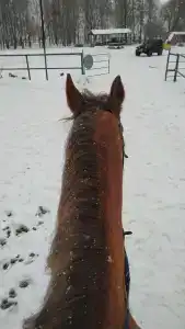 Храброво - 29