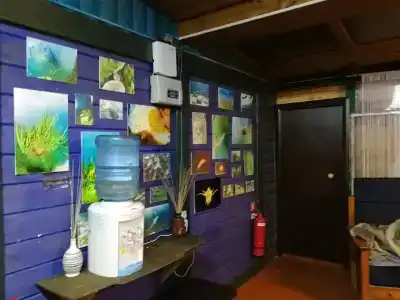 Усадьба Никиты Бенчарова - 26