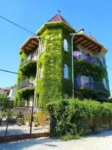 Замок Алустон - 14