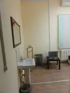Толстой - 21