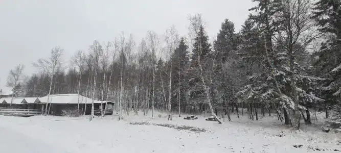 Подмосковный домик - 80