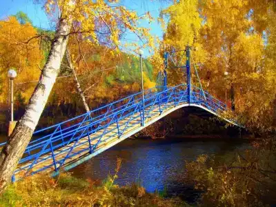 Голубые Ели - 46