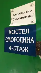 Смородина - 5