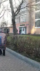 Смородина - 19