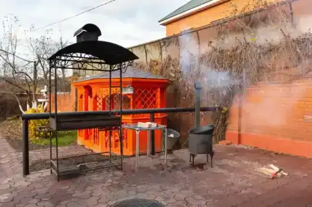 Тюльпан - 12
