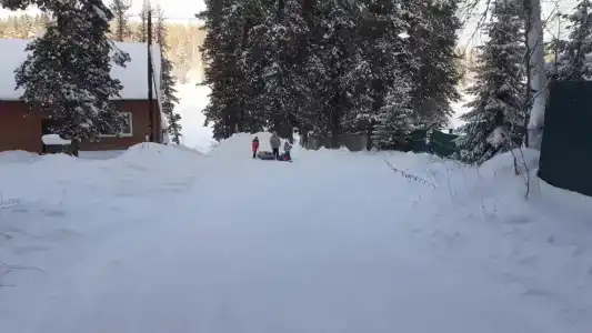 Кедровая заимка - 31