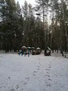 Домик в лесу - 12