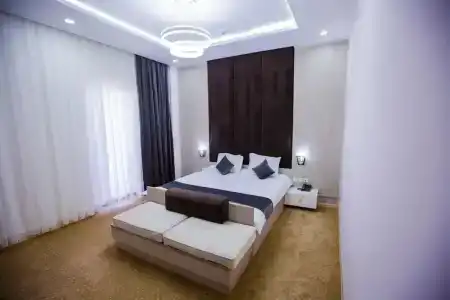 Art Regency Premium Free Airport Service - 50