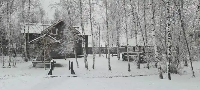 Подмосковный домик - 79